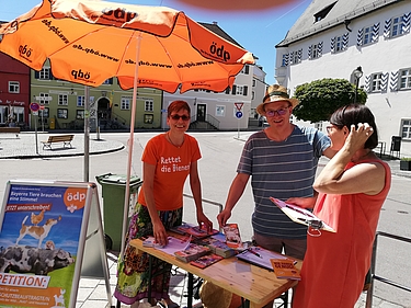 Infostand in Ebersberg